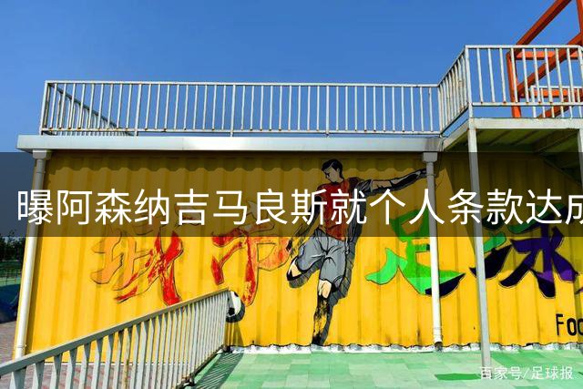 曝阿森纳吉马良斯就个人条款达成一致 纽卡接触葡超中场