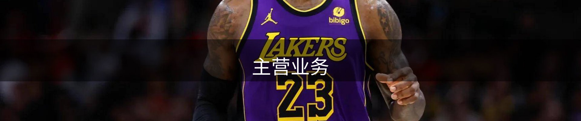 主营业务