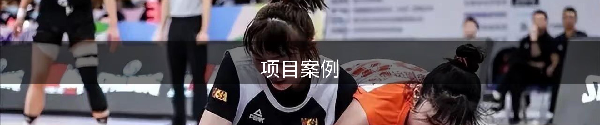项目案例